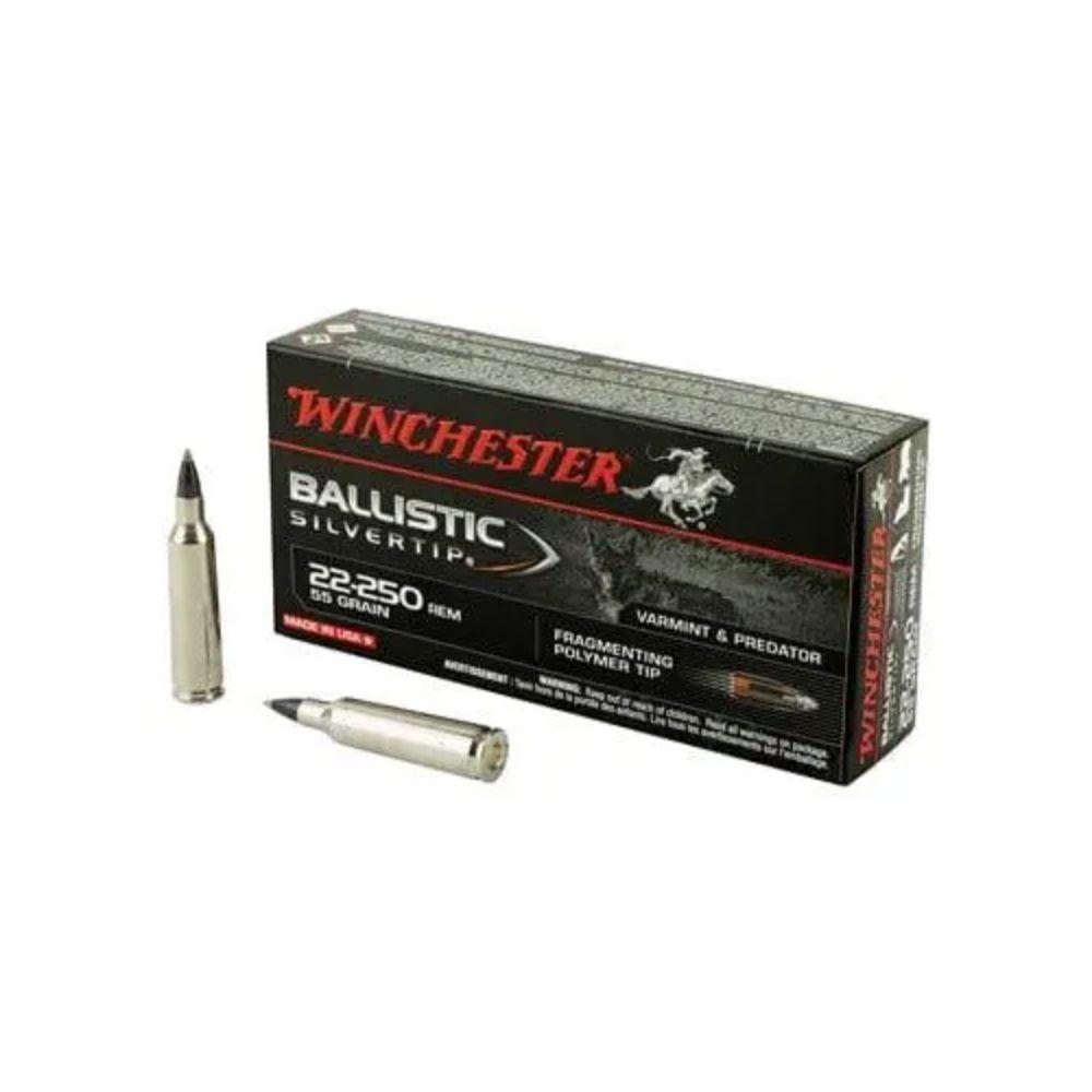 WINCHESTER BALLISTIC 22-250REM 55GR BST 20PK
